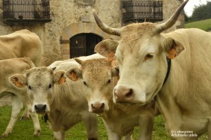 Formación para agricultores y ganaderos UAGN-FUNDAGRO