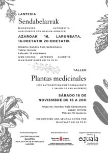 Taller: Plantas medicinales