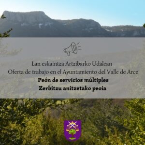 Oferta de empleo: peón de servicios múltiples