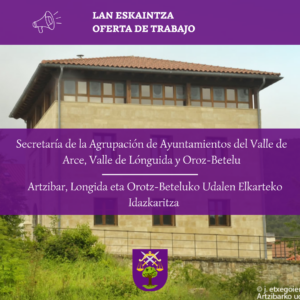 Condicionado para plaza de Secretaría de la agrupación de Ayuntamientos de Valle de Arce, Valle de Lónguida y Oroz-Betelu